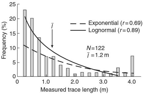 Figure: Histogram of joint trace lengths, with best fit exponential and lognormal curves (Priest and Hudson, 1981)